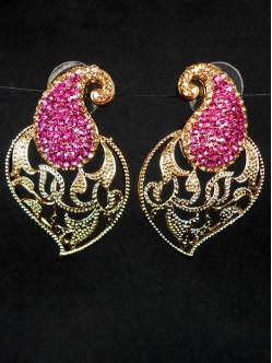 Fashion Earrings